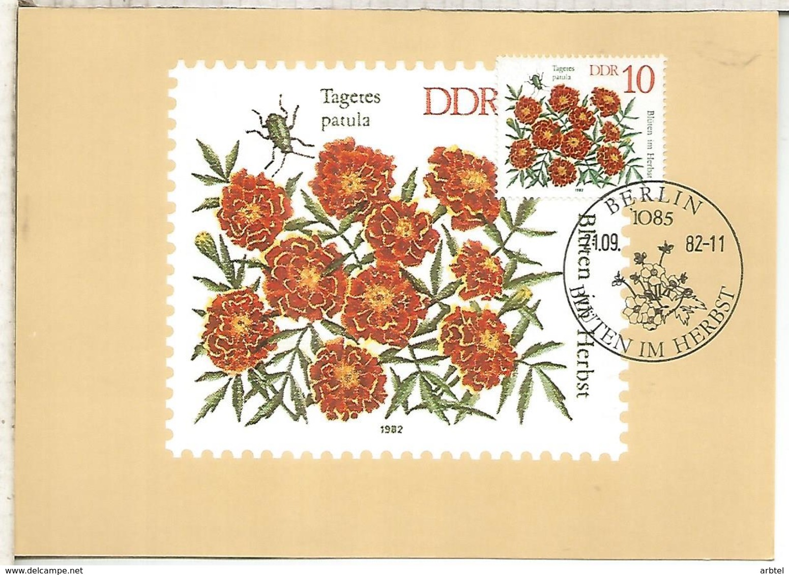 ALEMANIA DDR  FLORES FLOWER - Otros & Sin Clasificación