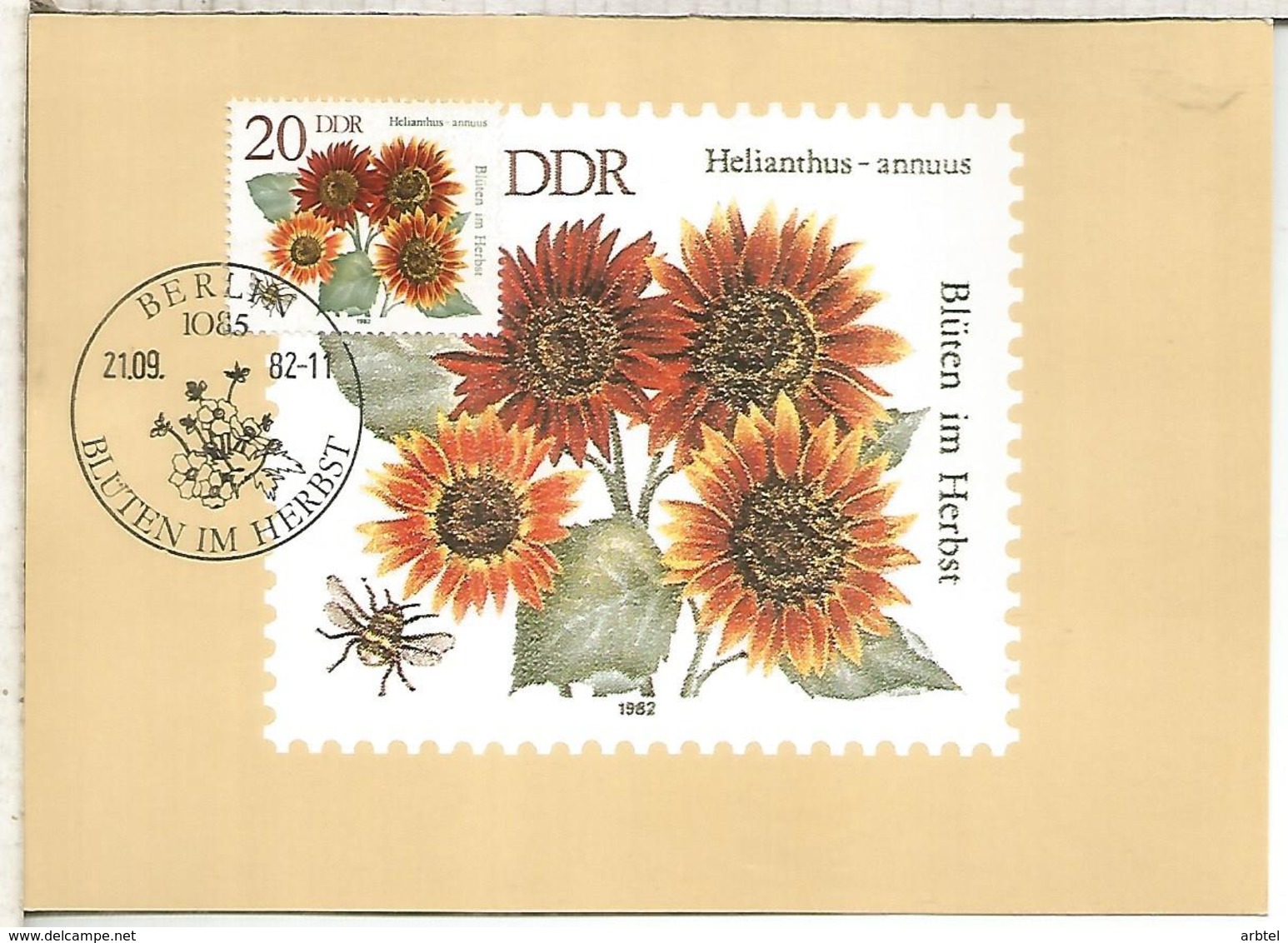 ALEMANIA DDR  FLORES FLOWER - Otros & Sin Clasificación