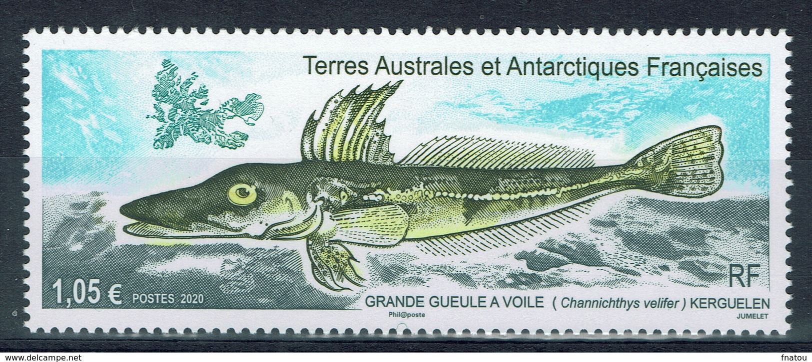 FSAT (TAAF), Velifer Icefish, 2020, MNH VF - Unused Stamps