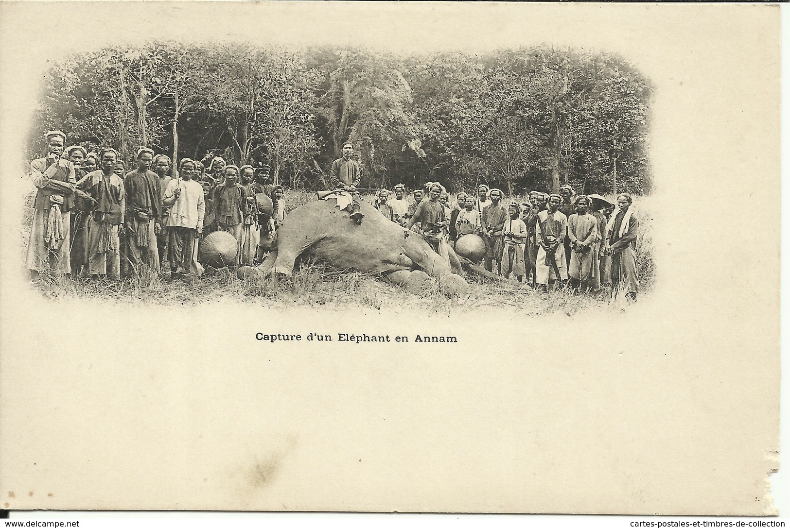 * Capture D'un Eléphant En Annam , CPA ANIMEE - Viêt-Nam