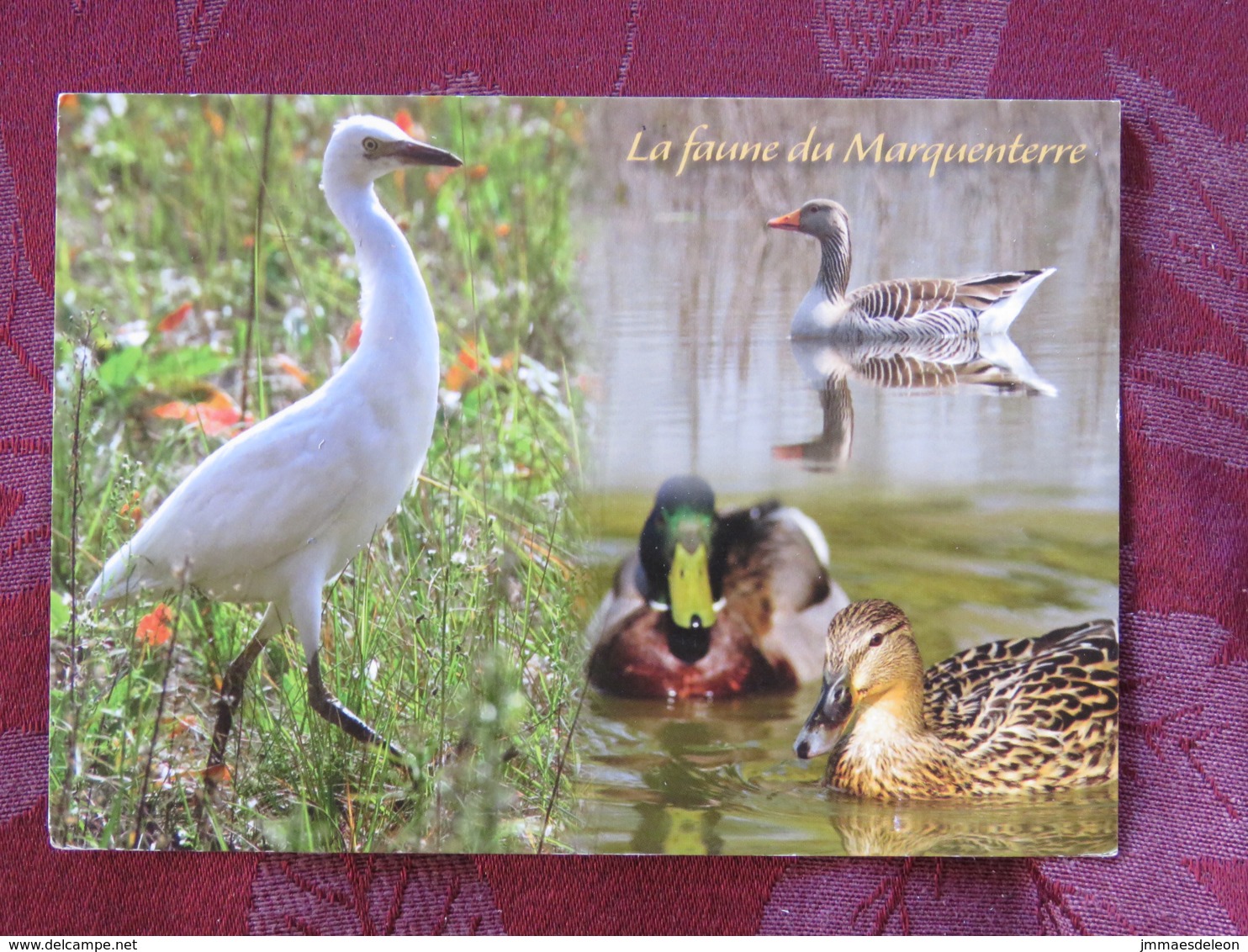 France 2014 Postcard Bird Duck Crane Marquenterre To France - Marianne - Birds