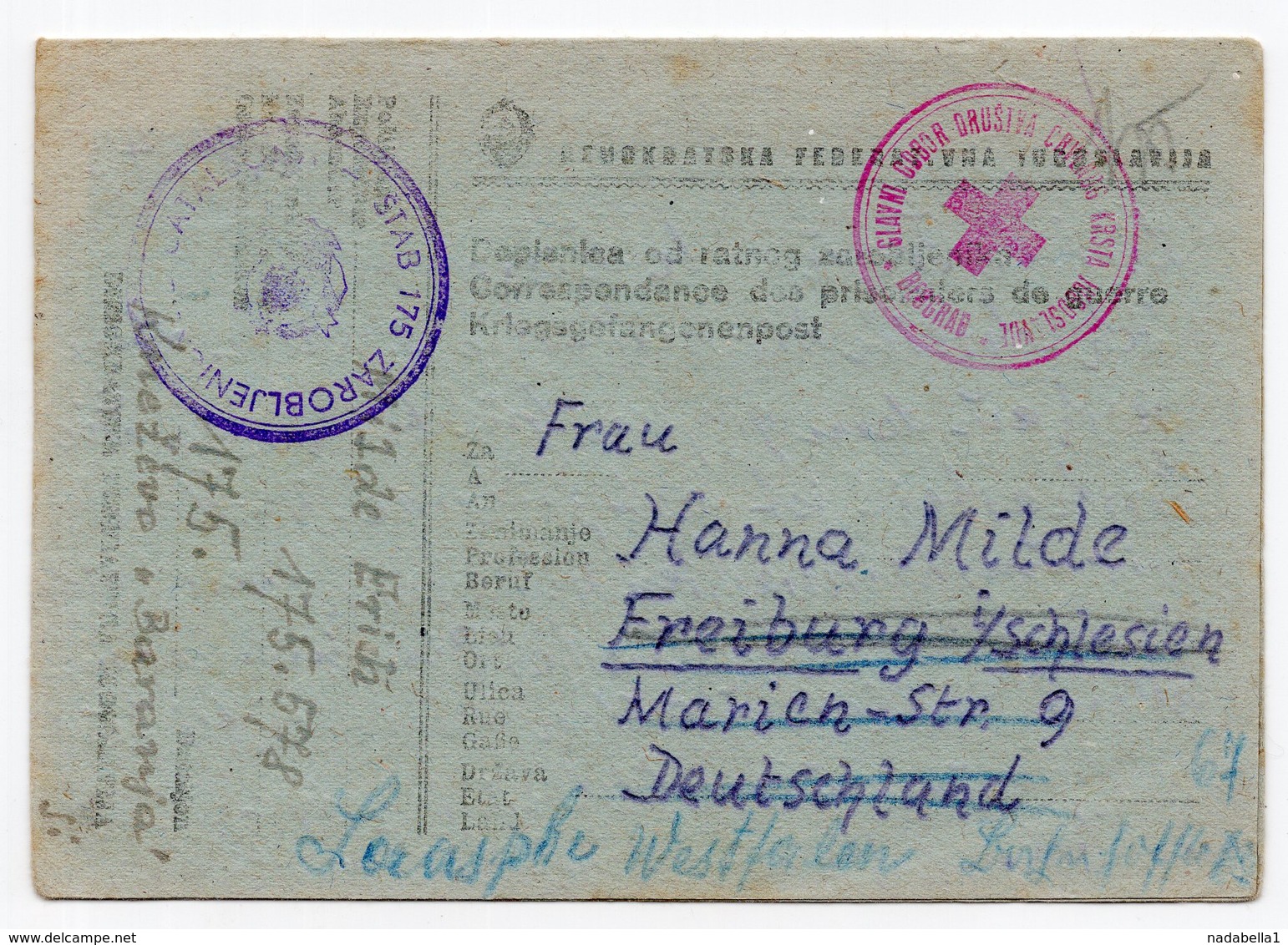 06.11.1945. YUGOSLAVIA,CROATIA,KNEZEVO,CENSORED 175 IN VIOLET,GERMAN POW LETTER TO GERMANY, RED CROSS YUGOSLAVIA - Covers & Documents