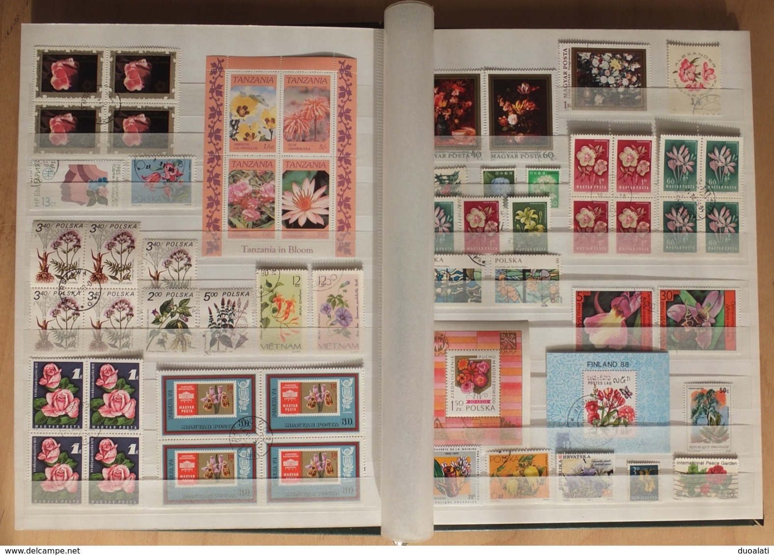 Collection Of Stamps On Topic Plants Flowers Roses With Album - Colecciones (en álbumes)