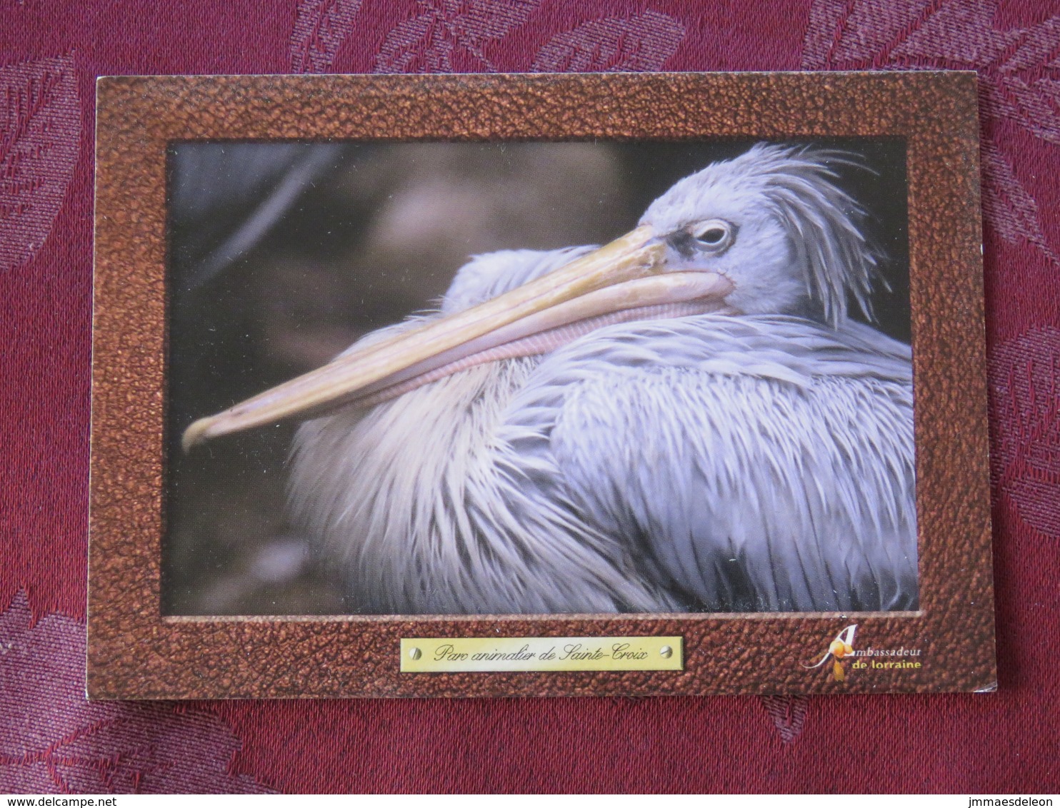 France Unused Postcard Bird Pelican Parc Animalier De Sainte-Croix - Birds