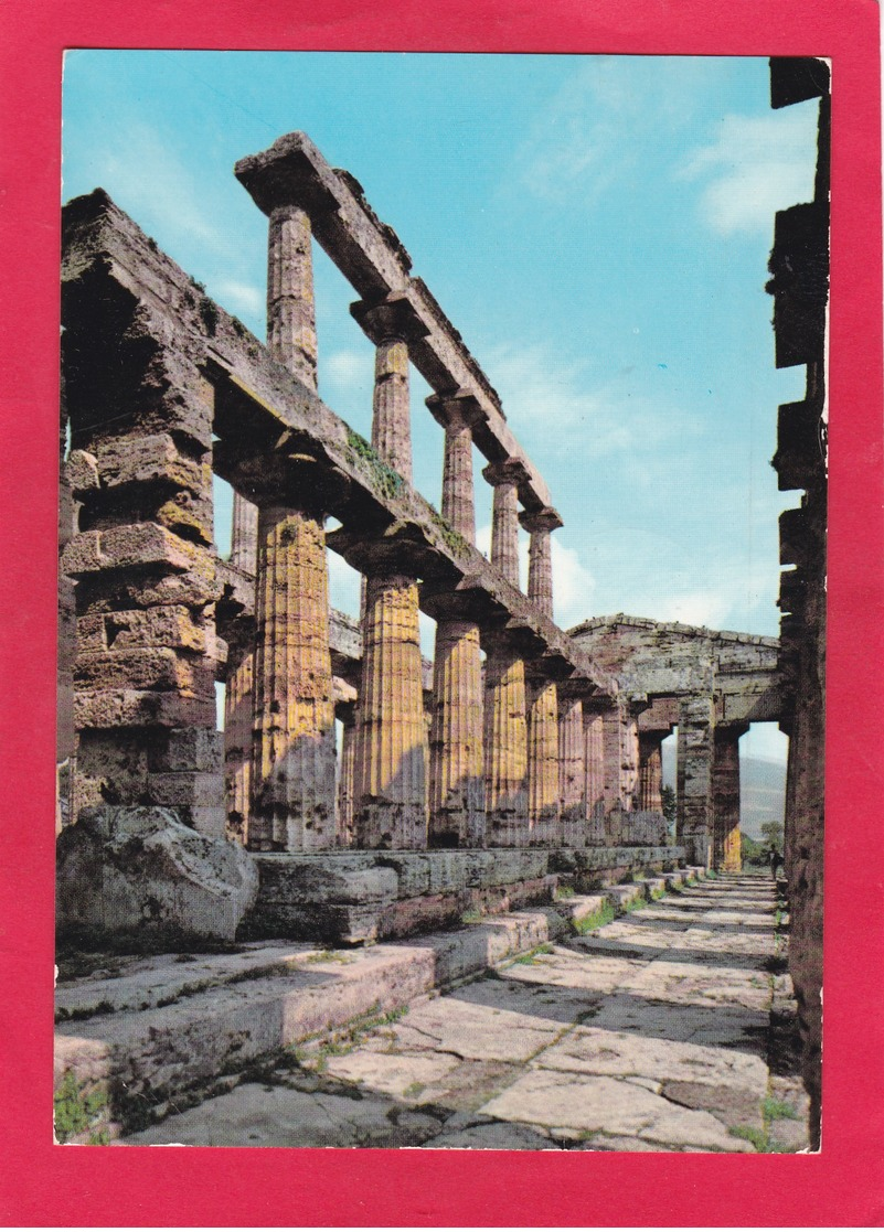 Modern Post Card Of Paestum,Capaccio,Salerno, Campania, Italy.,D60. - Salerno