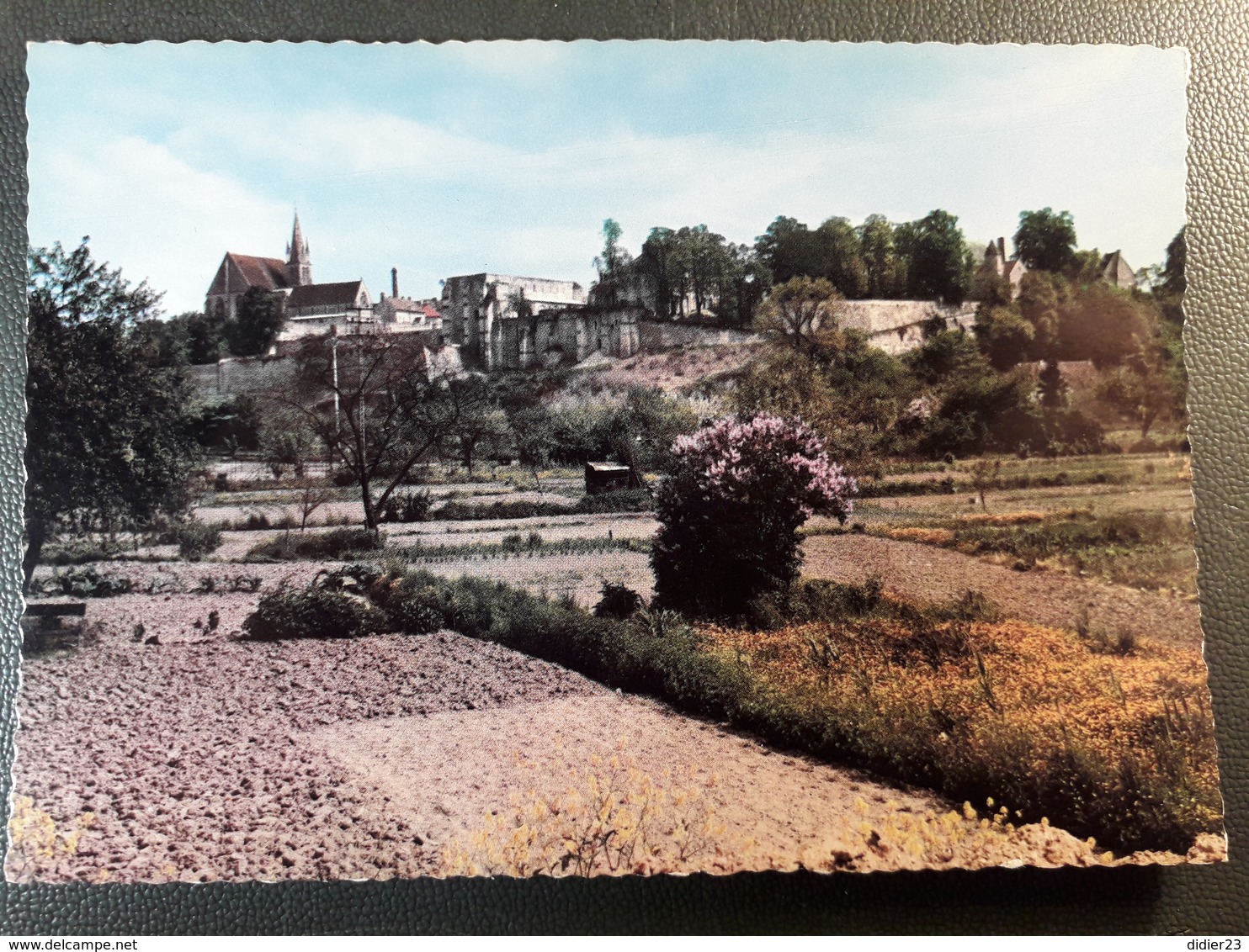 CREPY EN VALOIS JARDIN EGLISE - Andere & Zonder Classificatie