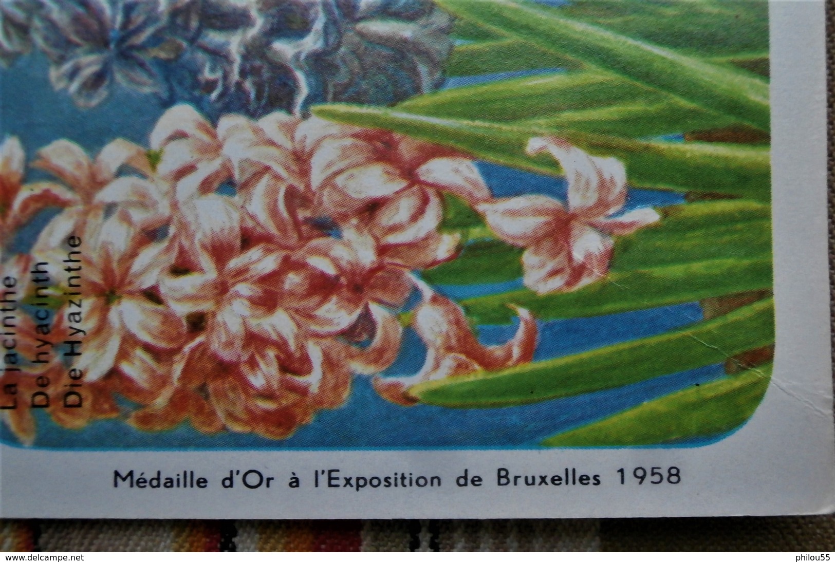 IMAGES Planche Serie 39 Tableau 21 Ed HEMMA Chevron Lez Liege Et Paris Medailles D'Or Expo BRUXELLES  1958 - Other & Unclassified