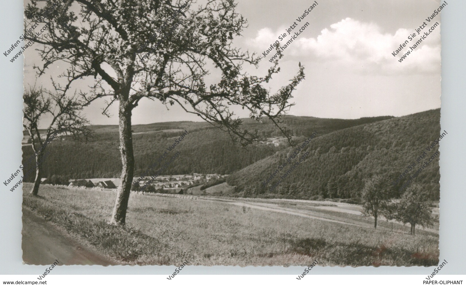 5439 BAD MARIENBERG - KORB, Gesamtansicht, Bahnpost, 1958 - Bad Marienberg