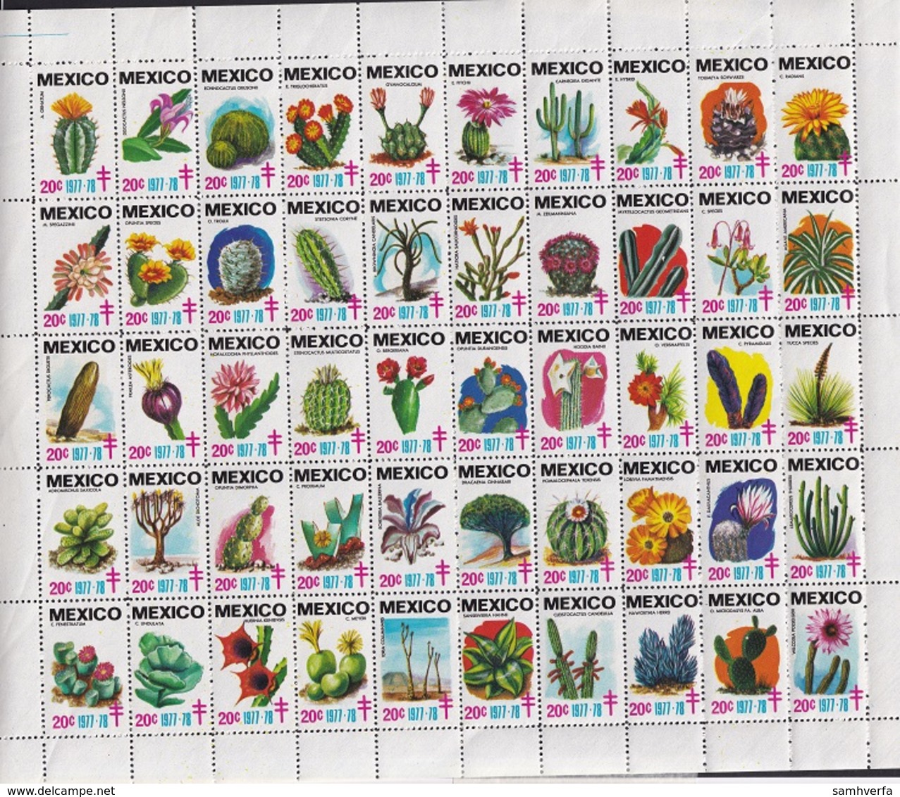 Mexico 1977-78 - Sheet Desert Flowers And Plants - Mexique