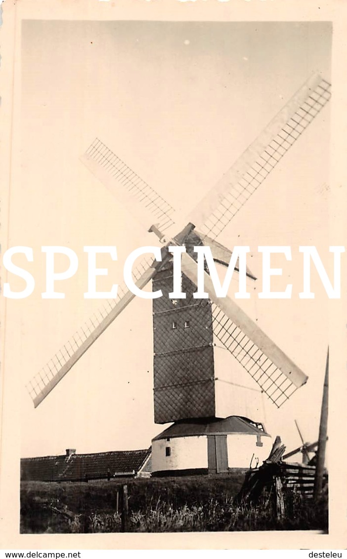 Foto   Molen - Zwevegem 10,5x6,5 Cm - Zwevegem