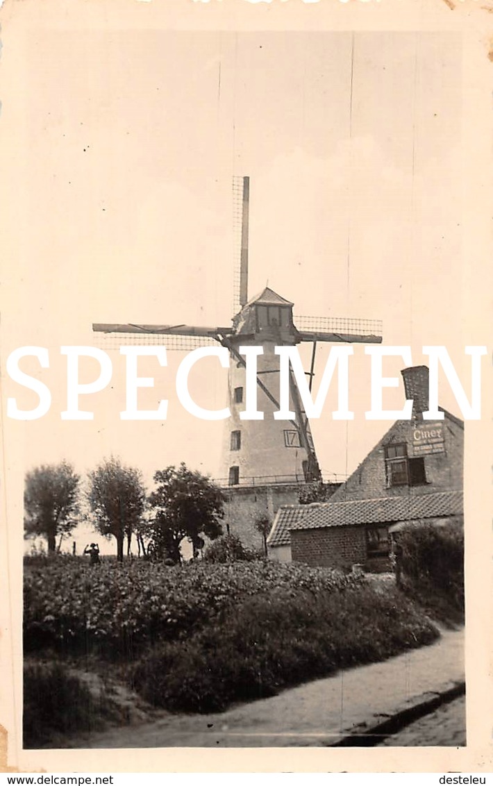 Foto   Molen  Derycke 1798 - Zwevegem 10,5x6,5 Cm - Zwevegem