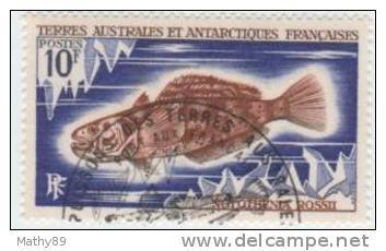 TAAF N° 35 YVERT  POISSONS  DIVERS - Used Stamps