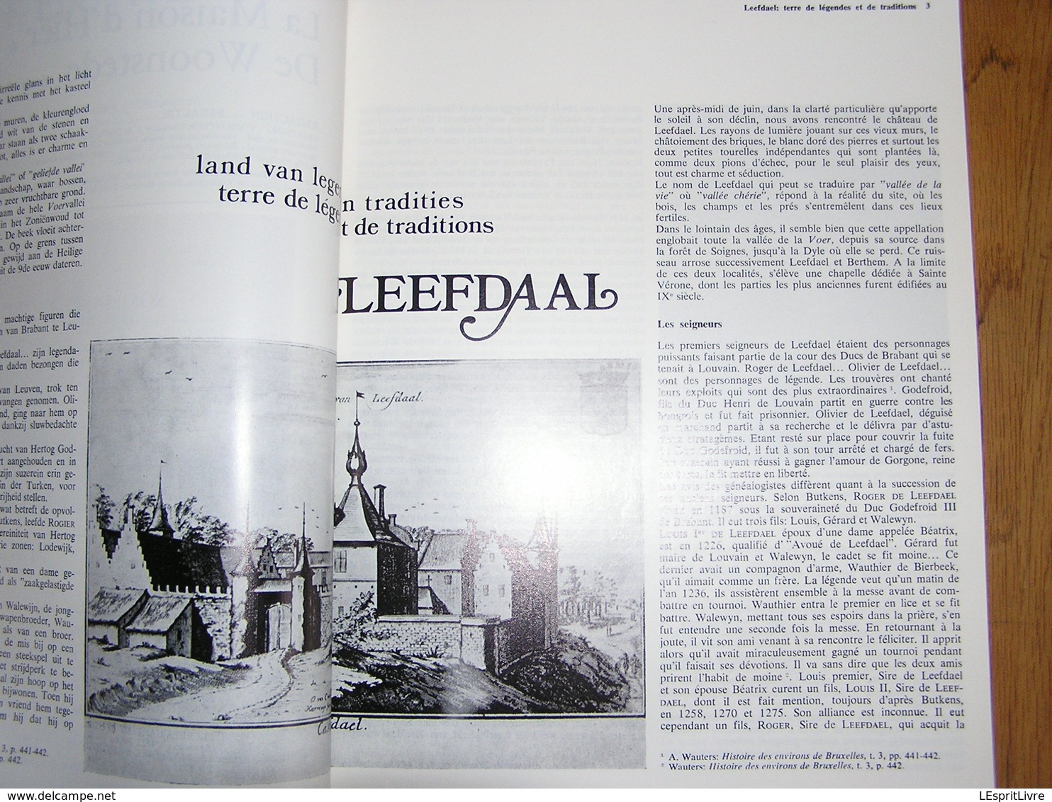 MAISONS D' HIER ET D' AUJOURD' HUI 29 Régionalisme Château Leefdaal Leftdael Echteld Huy Boussu Hainaut Abcoude Kaastel - Belgium