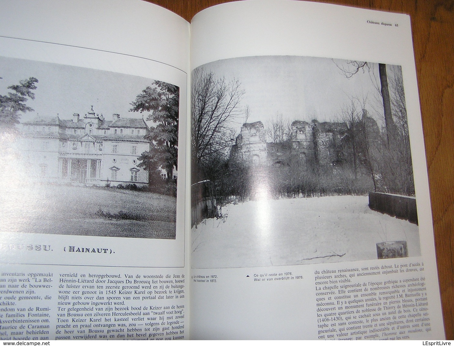 MAISONS D' HIER ET D' AUJOURD' HUI 29 Régionalisme Château Leefdaal Leftdael Echteld Huy Boussu Hainaut Abcoude Kaastel