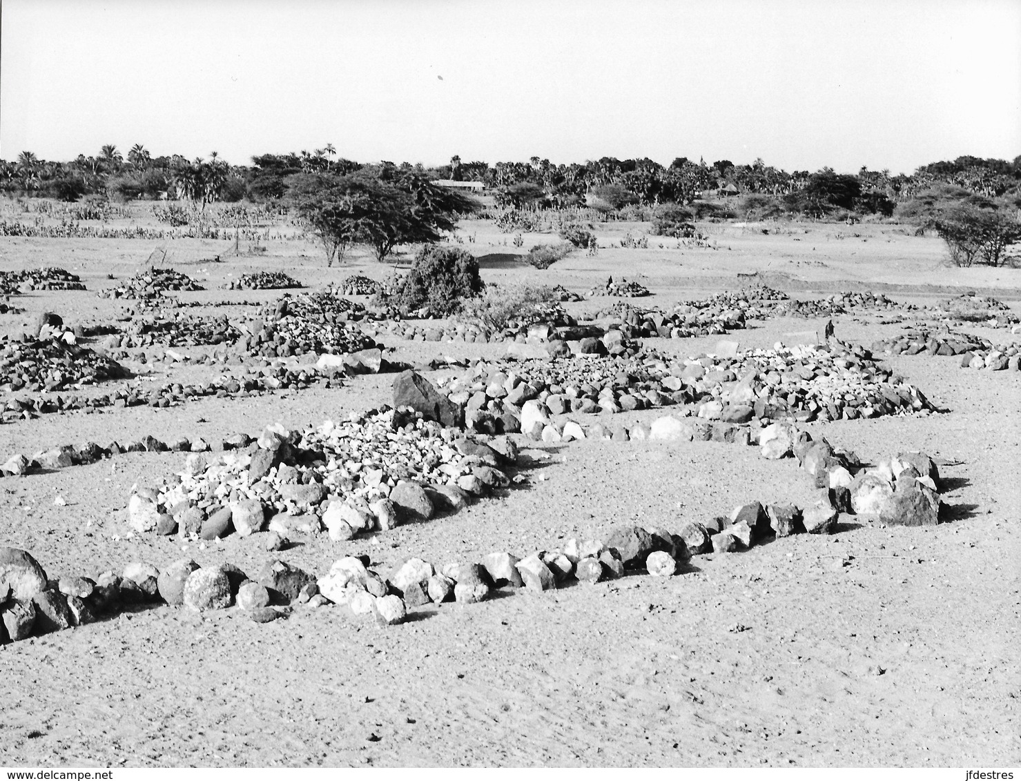 Photo Afars Et Issas Cimetière Dans La Région D'Afgoi Photo Vivant Univers. République De Djibouti. Somalie - Afrique