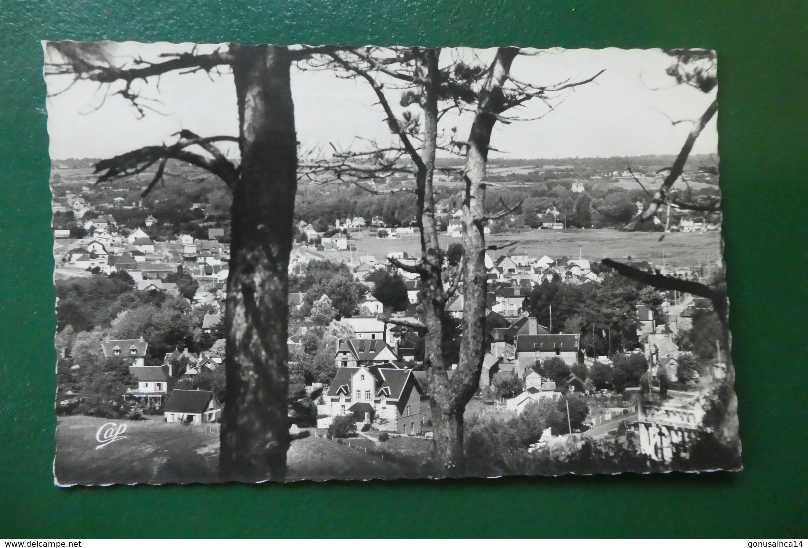 R 4 ) CAROLLES  VUE PANORAMIQUE - Autres & Non Classés