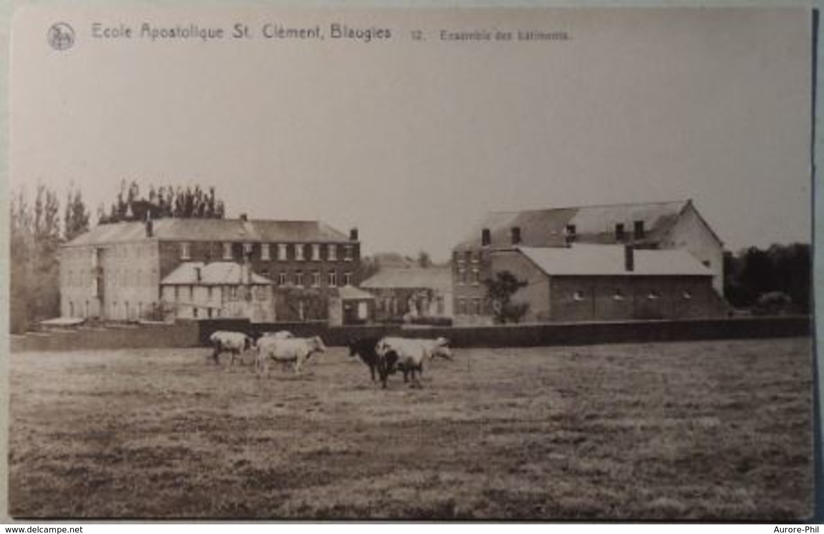 Blaugies Ecole Apostolique St Clément Ensemble Des Bâtiments - Dour