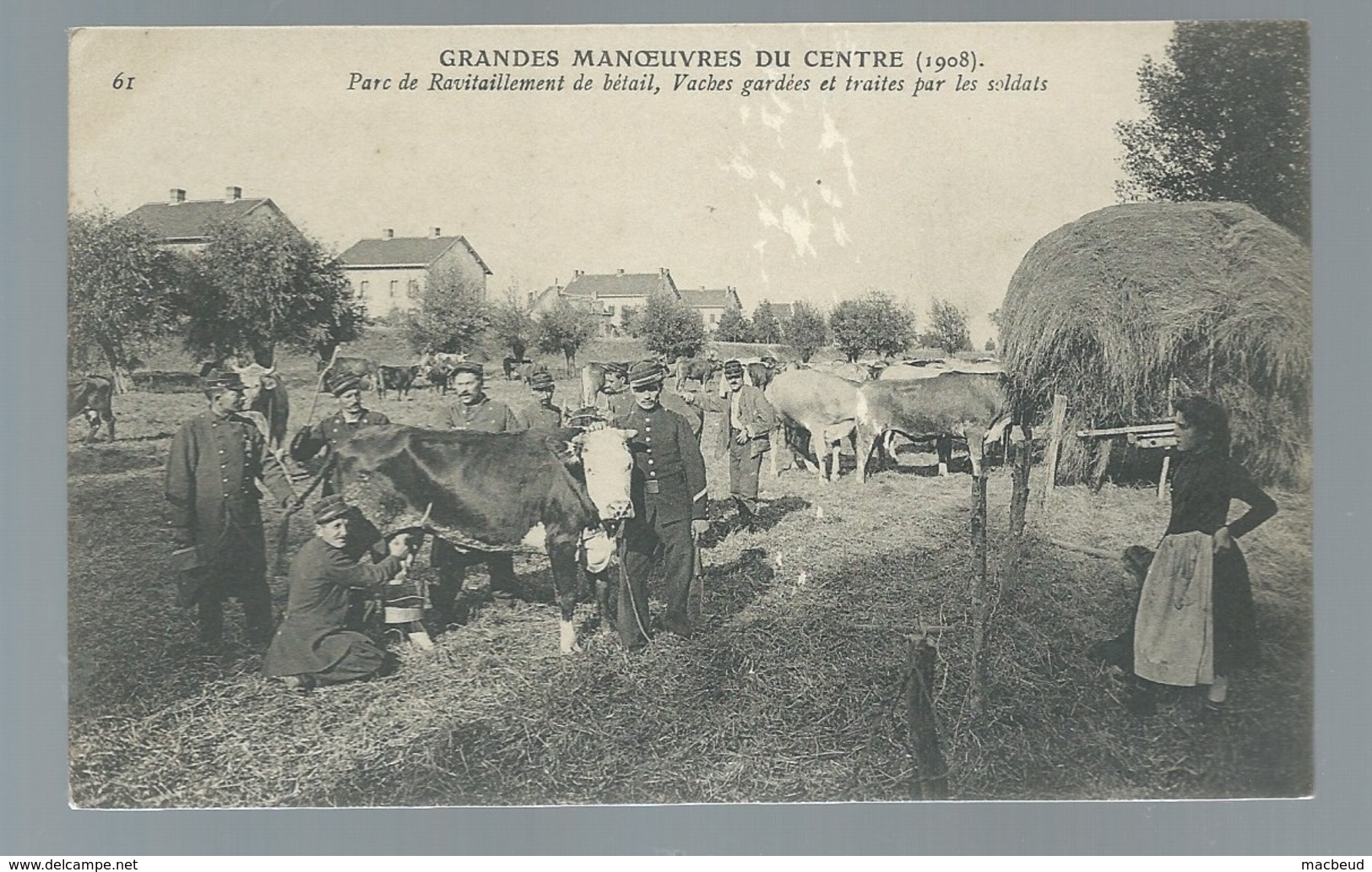 Grandes Manoeuvres Du Centre ( 1908) Parc De Ravitaillement De Bétail,Vaches Gardées Et Traites Par Les Soldats Maca0589 - Manovre