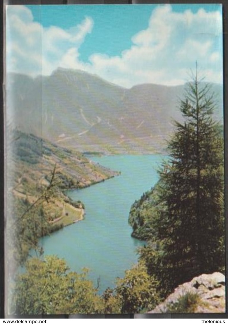 * Cartolina - Levico - Il Lago - Particolare - Viaggiata Anni '60 - Trento