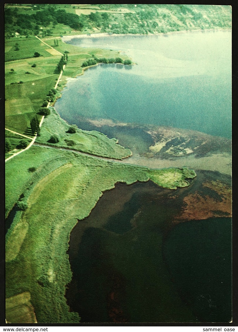 Stockach  -  Mündungsdelta Der Stockacher Ache Am Bodensee  -  Ansichtskarte Ca.1964  (12123) - Stockach