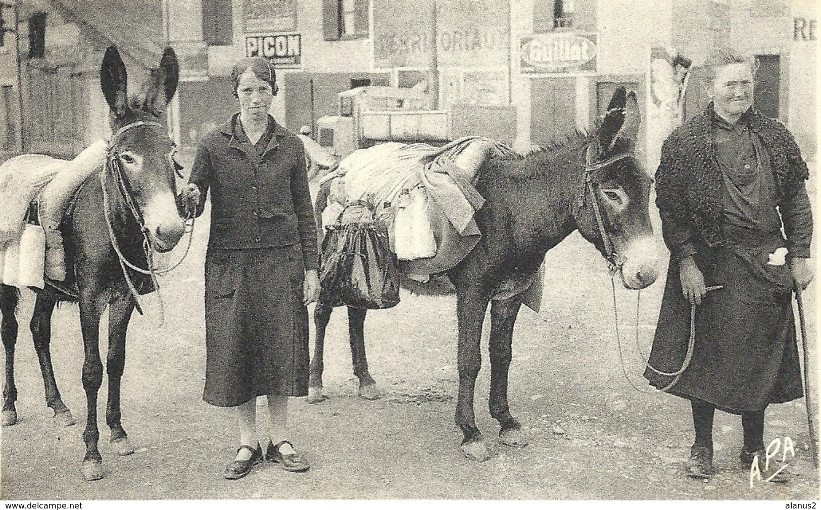 BAGNERES De BIGORRE - 65 - Laitières Du Pays - ânes - Bagneres De Bigorre