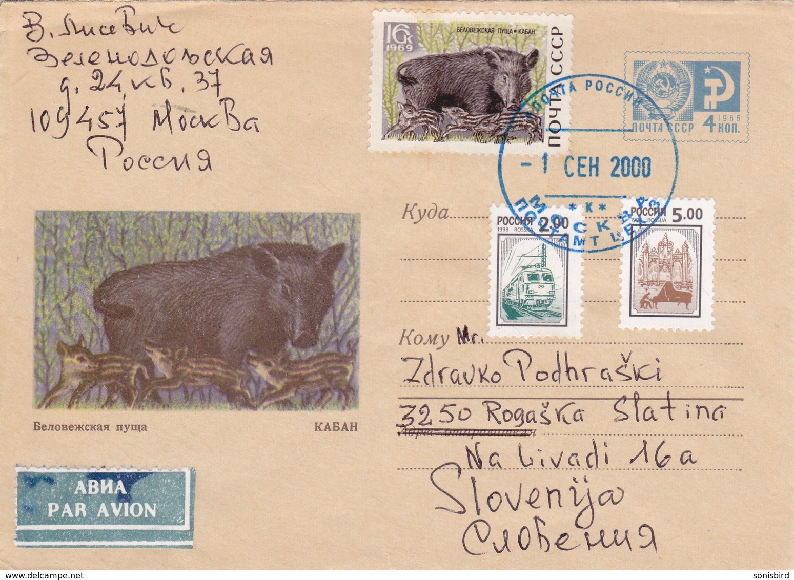 SSSR / RUSSIA, Animals, Mammals, Wild Boar - Lettres & Documents