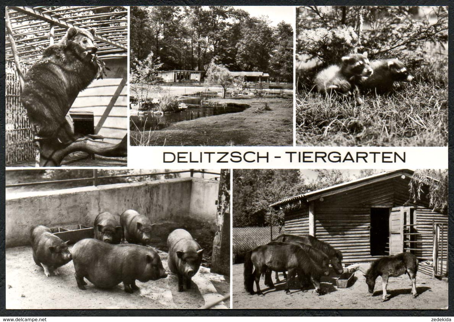 D2666 - TOP Delitzsch Tiergarten Zoo Tierpark  - Bild Und Heimat Reichenbach - Delitzsch