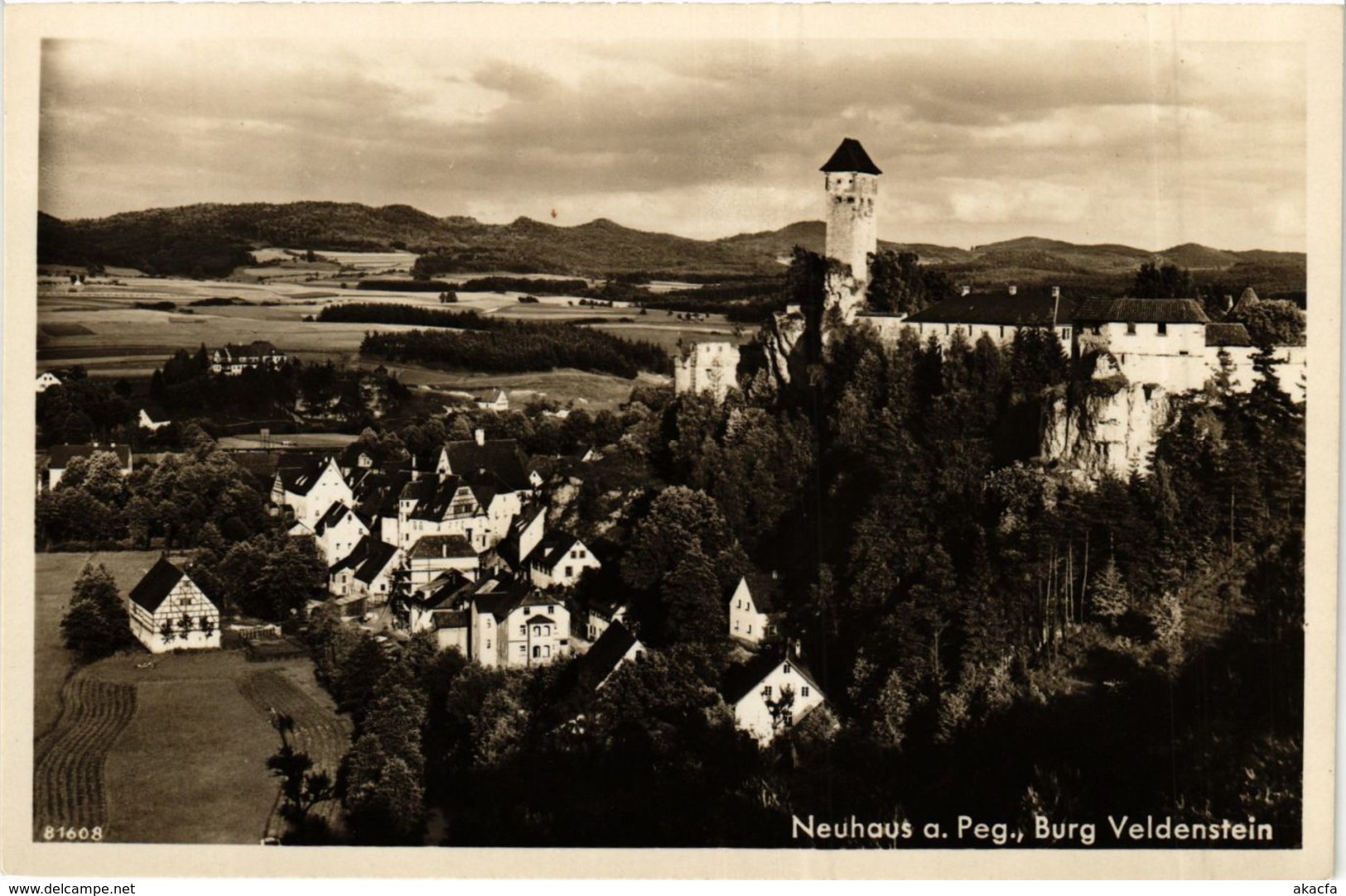 CPA AK Neuhaus A. D. Pegnitz - Burg Veldenstein - Panorama GERMANY (918976) - Pegnitz