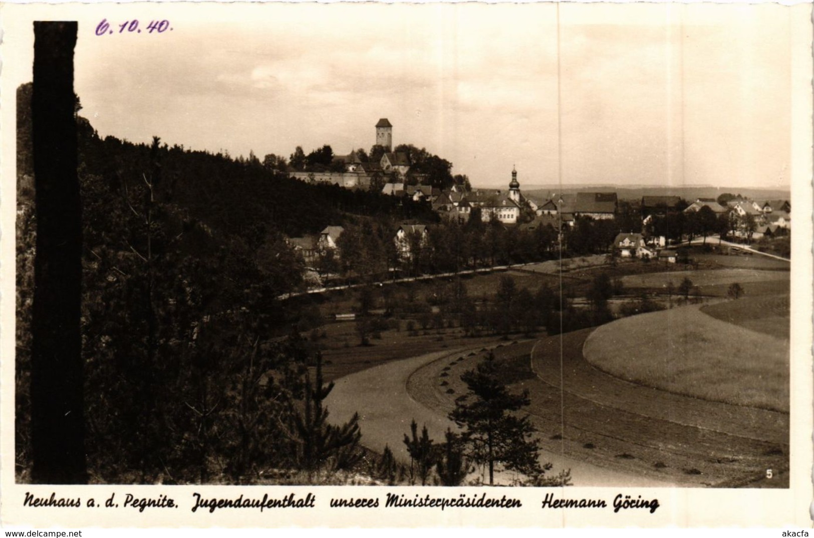 CPA AK Neuhaus A. D. Pegnitz - Panorama GERMANY (919042) - Pegnitz
