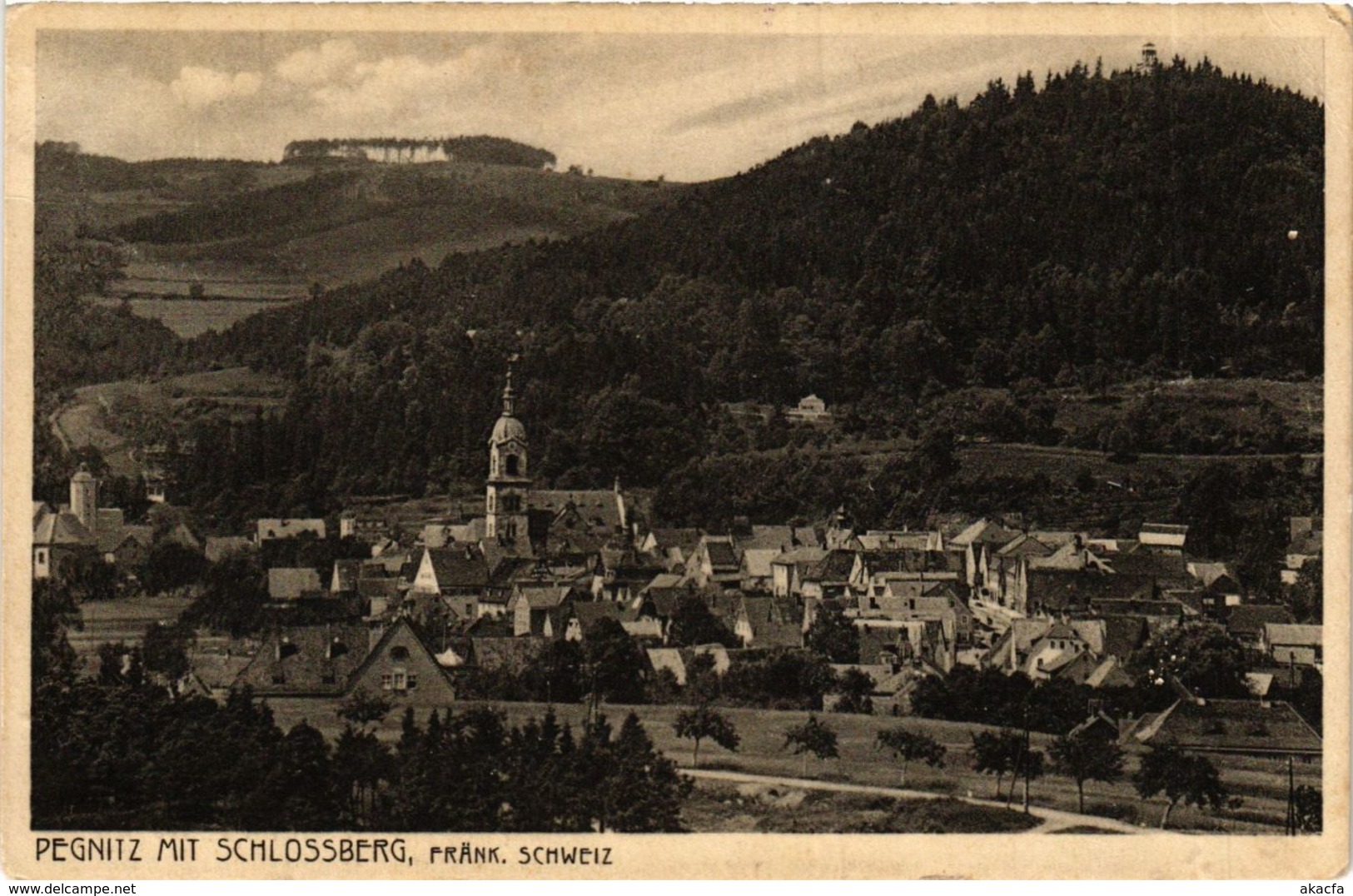 CPA AK Pegnitz - Pegnitz Mit Schlossberg GERMANY (919088) - Pegnitz