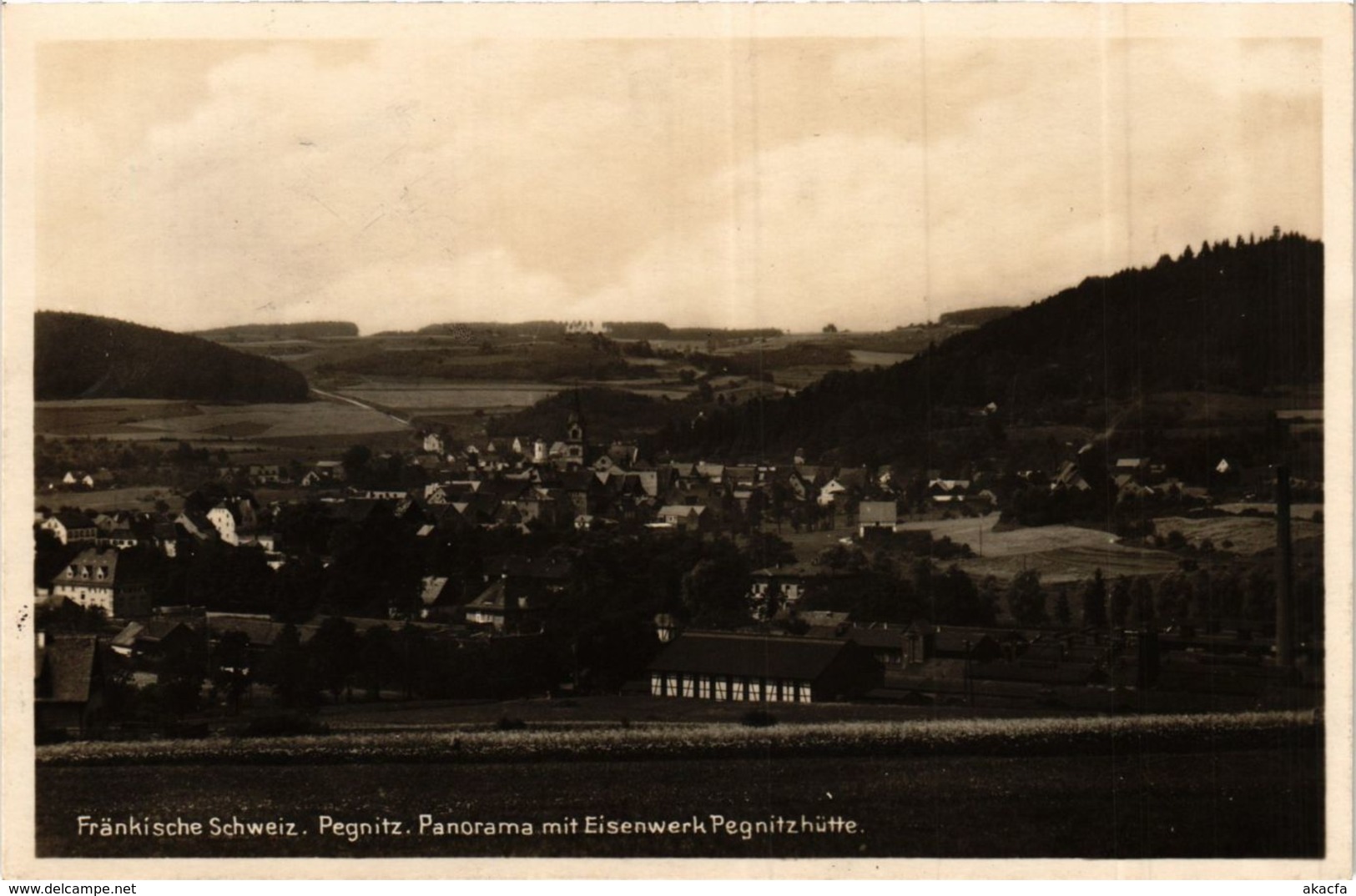 CPA AK Pegnitz - Panorama Mit Eisenwerk Pegnitzhutte GERMANY (919096) - Pegnitz