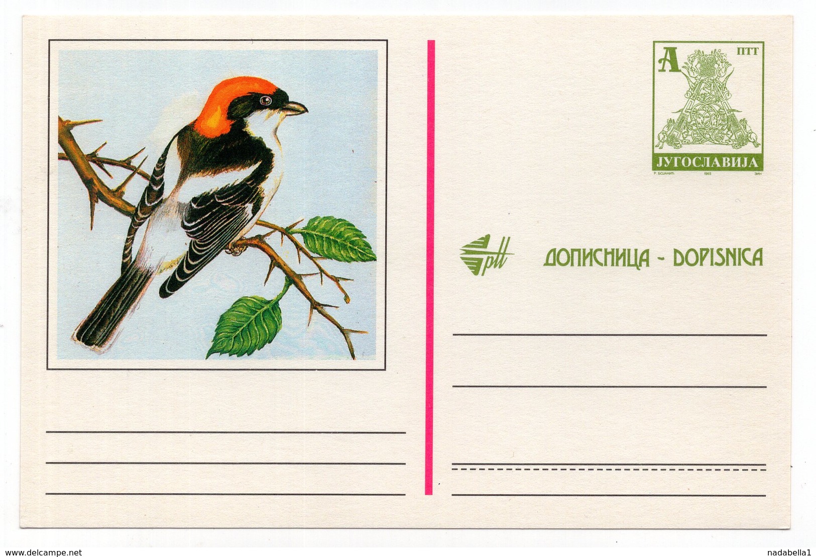 1983 YUGOSLAVIA, BIRD, RED ROBIN, ILLUSTRATED STATIONERY CARD, MINT - Postal Stationery