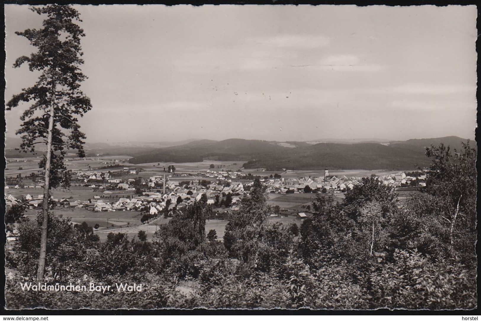 D-93449 Waldmünchen - Panorama - Cham