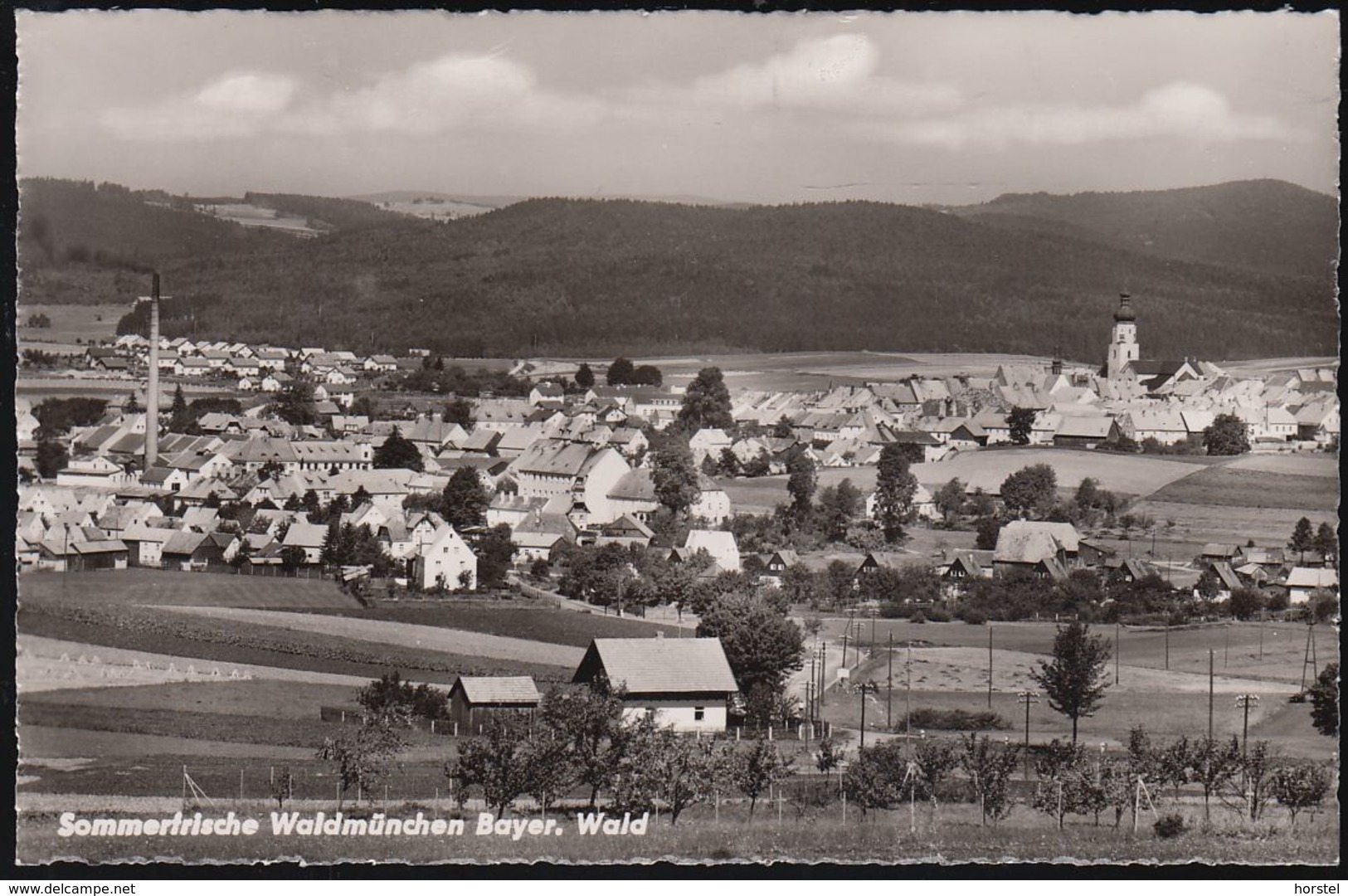 D-93449 Waldmünchen - Panorama - Sommerfrische - Cham