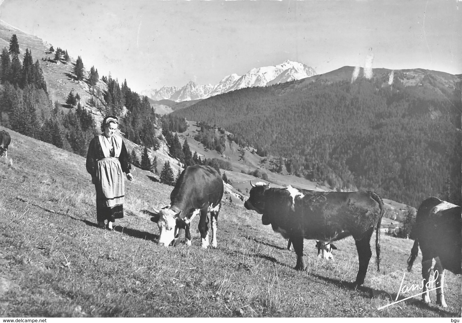 Col Des Aravis (73) - Pâturages Au Col - Otros & Sin Clasificación