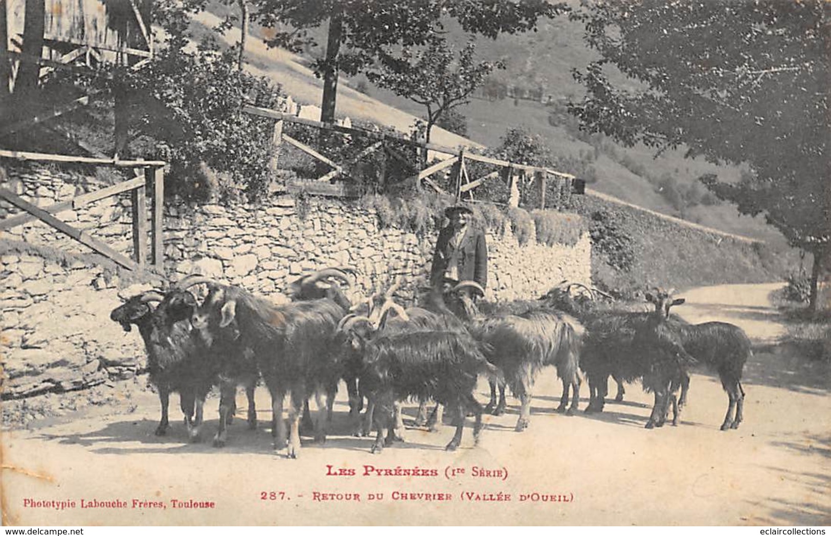 Vallée D'oueil        31  Un Berger Et Son Troupeau De Chèvres    (voir Scan) - Andere & Zonder Classificatie