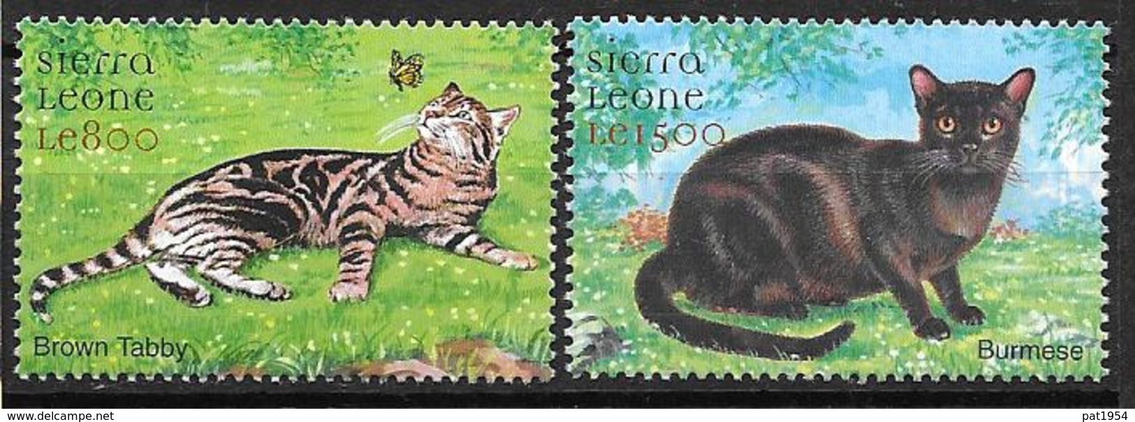 Sierra Leone Timbres Avec Avec Chats - Chats Domestiques