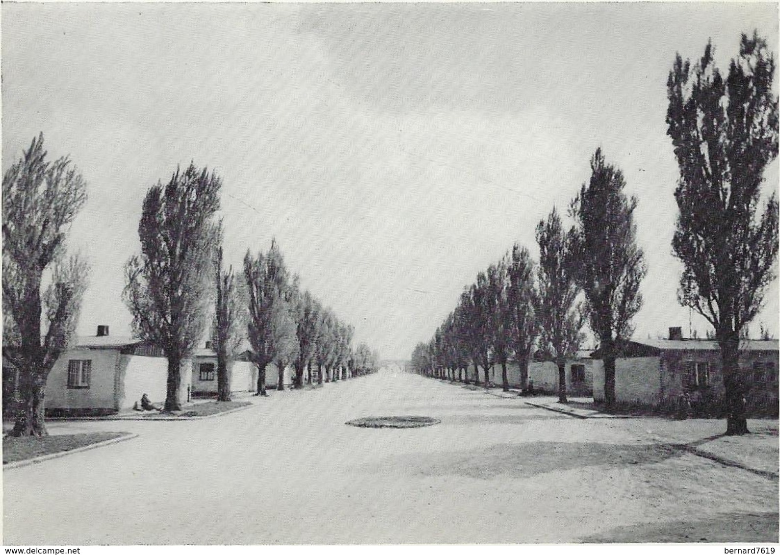 Allemagne  Dachau   Lagerstabe  Rue Principale Dans Le Camp - Dachau