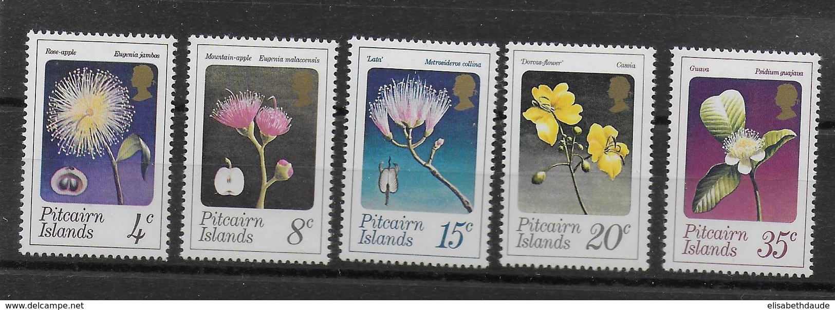 1973 - PITCAIRN - YVERT N° 128/132 ** MNH - FLEURS - COTE = 20 EUR. - Pitcairn Islands
