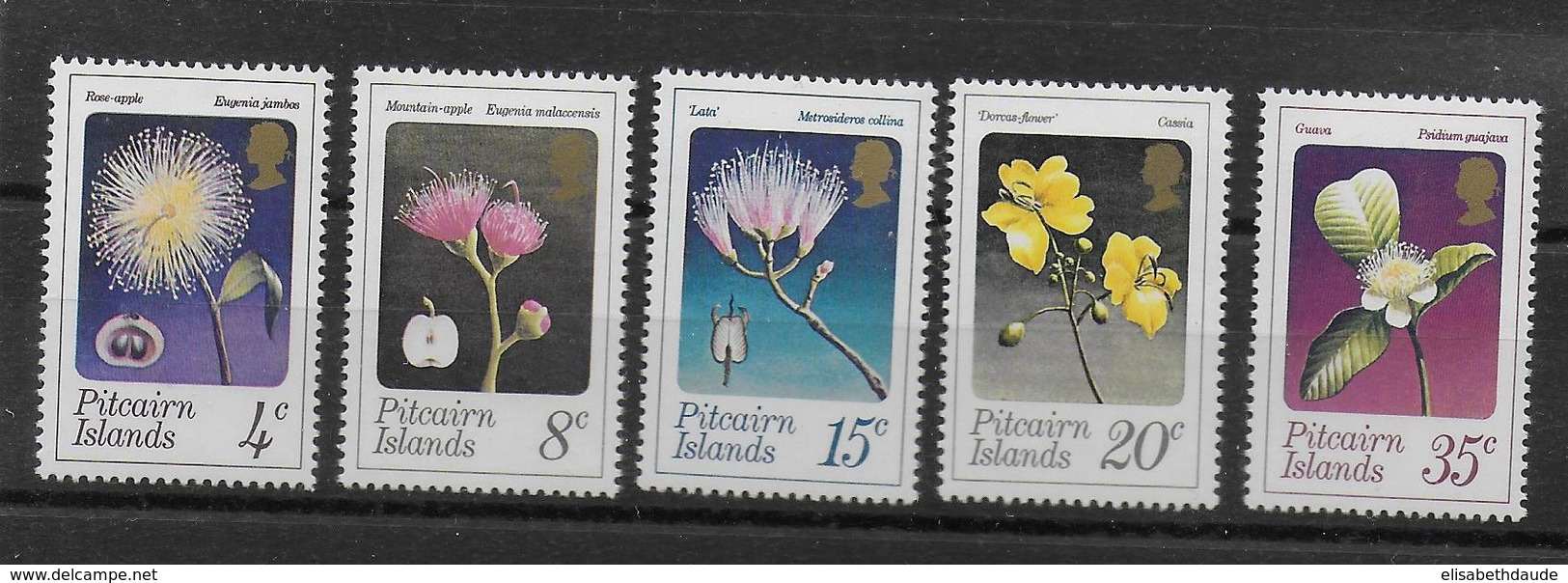 1973 - PITCAIRN - YVERT N° 128/132 ** MNH - FLEURS - COTE = 20 EUR. - Pitcairninsel