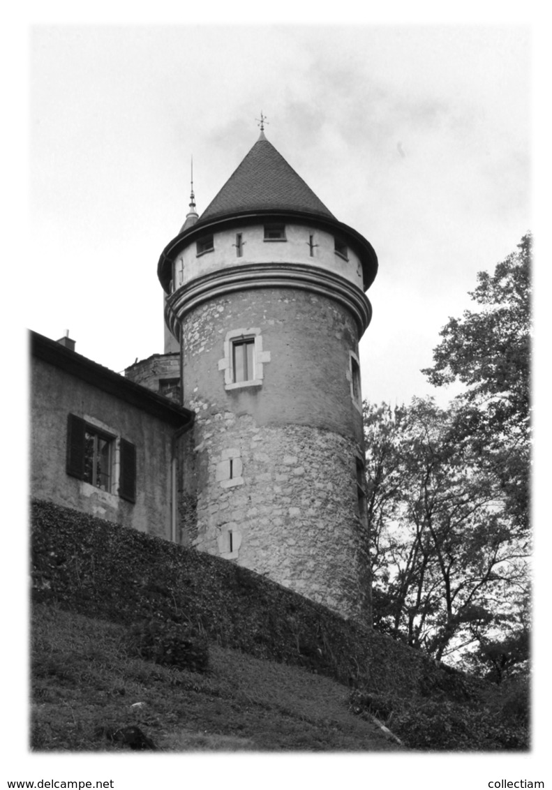 BELLEGARDE-SUR-VALSERINE - Château De Mussel - Bellegarde-sur-Valserine