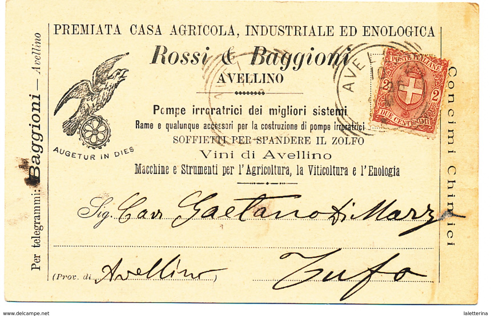 1896 AVELLINO  CARTOLINA COMMERCIALE PUBBLICITARIA AGRICOLA ENOLOGICA VINO - Altri & Non Classificati