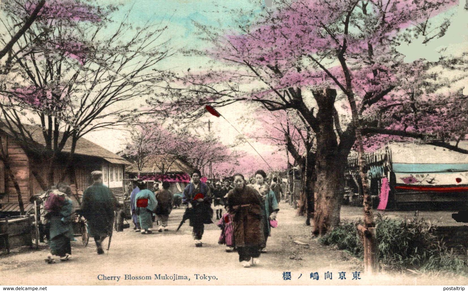 JAPON // JAPAN. CHERRY BLOSSOM MUKOJIMA TOKYO - Tokyo