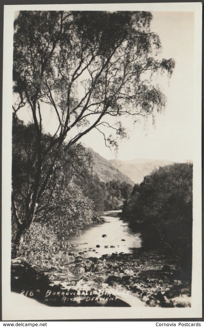 Borrowdale Birches And River Derwent, Cumberland, C.1930 - Pettitt RP Postcard - Borrowdale