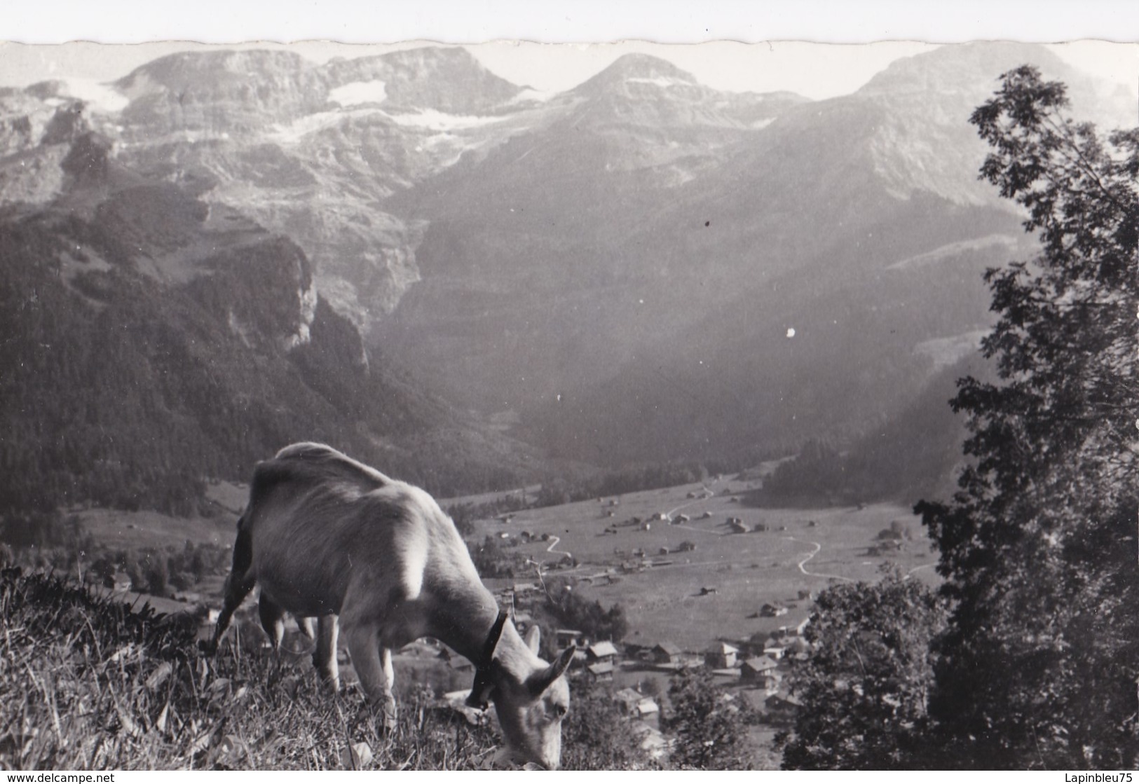 CP Suisse VD Vaud Les Diablerets Perle Des Alpes Vaudoises - Autres & Non Classés