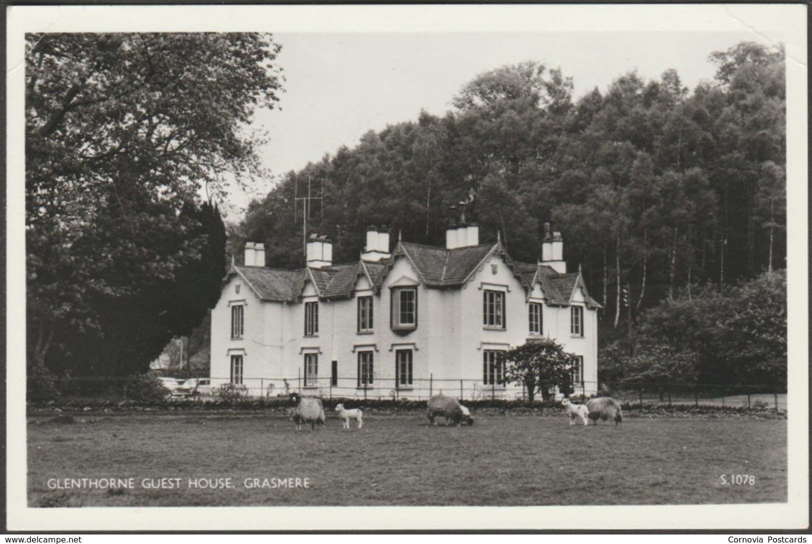 Glenthorne Guest House, Grasmere, Westmorland, C.1960s - Sanderson & Dixon RP Postcard - Grasmere