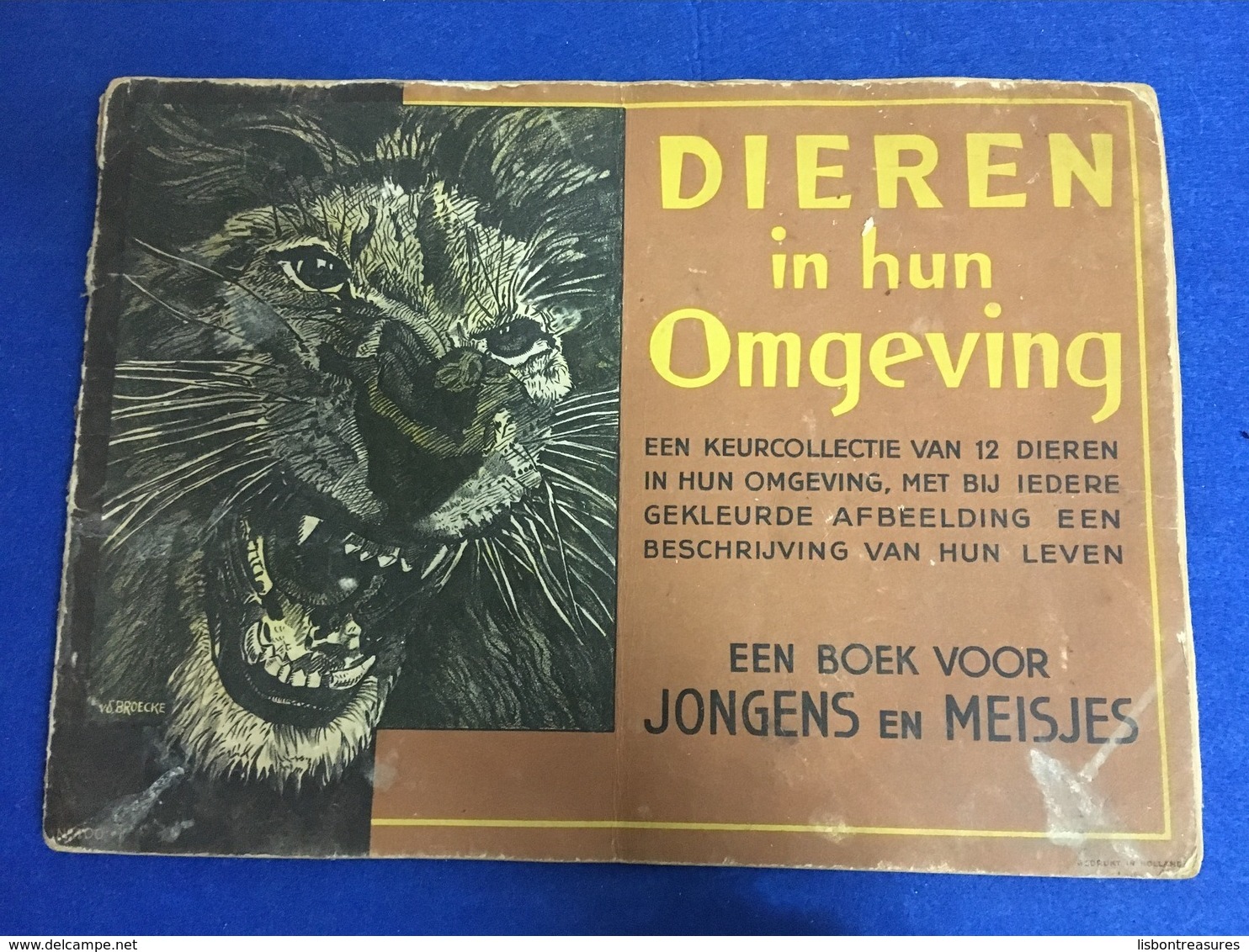 RARE ANIMALS ANTIQUE BOOK FOR CHILDREN " DIEREN IN HUN OMGEVING " BY JONGES EN MEISJES NETHERLANDS - Oude Boeken