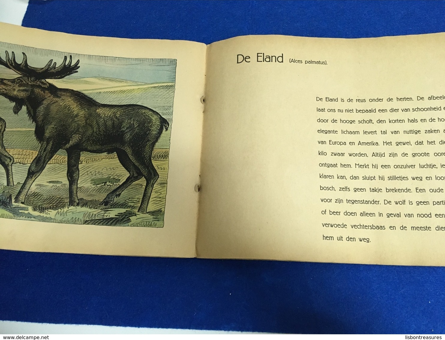 RARE ANIMALS ANTIQUE BOOK FOR CHILDREN " DIEREN IN HUN OMGEVING " BY JONGES EN MEISJES NETHERLANDS - Oude Boeken