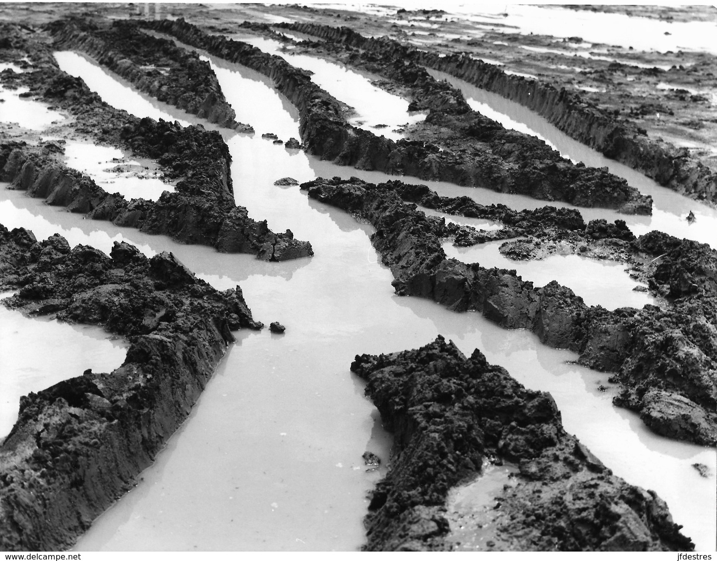 Photo Soudan Du Sud. Marécages Du Bahr El Gazal, El Buheysat Et Jonglei Saison Des Pluies Photo Vivant Univers. - Afrika