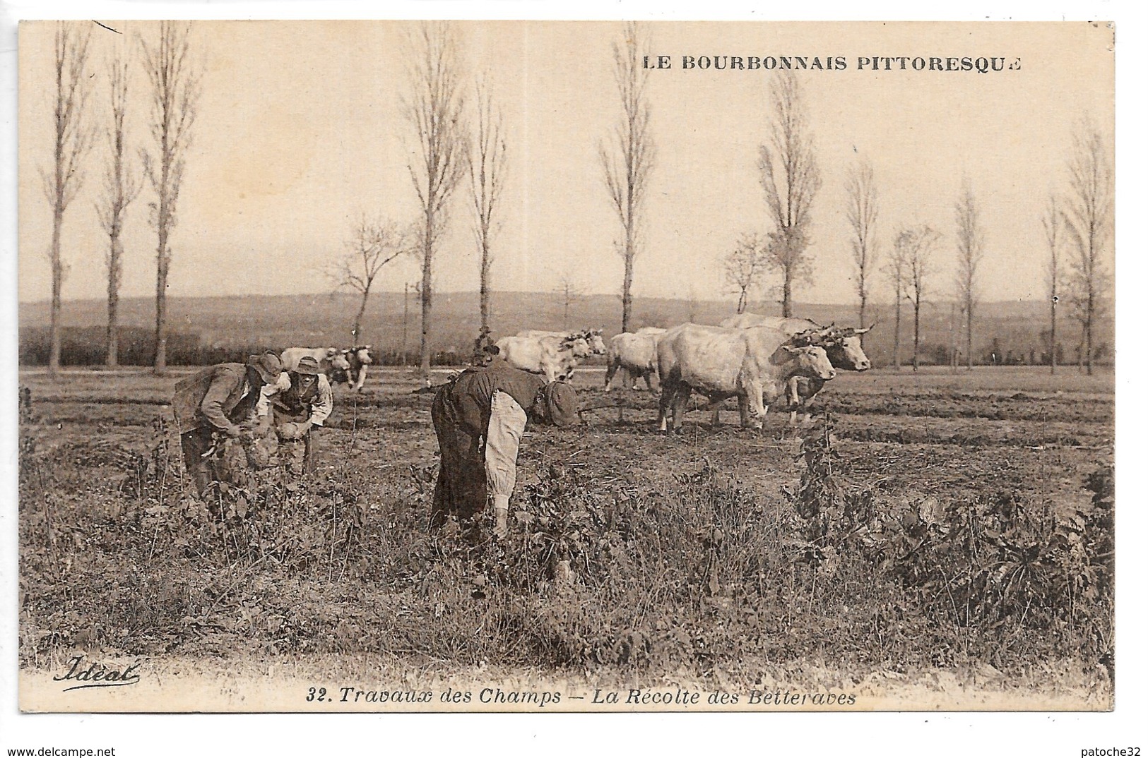 Cpa...le Bourbonnais Pittoresque...travaux Des Champs...la Récolte Des Betteraves...attelages De Boeufs...animée... - Equipaggiamenti